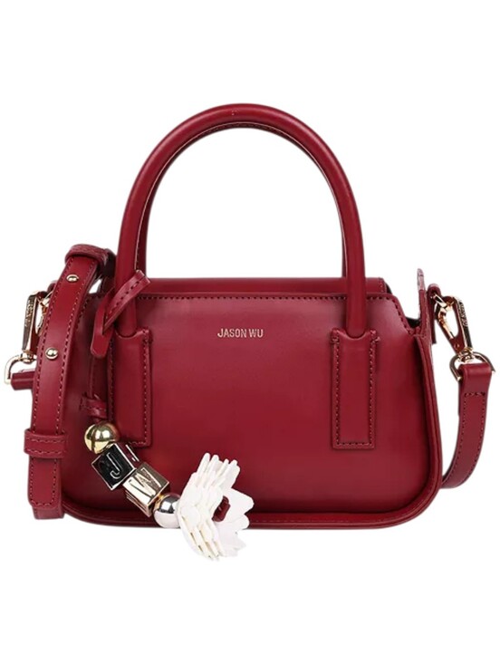 Jason Wu Handbags - JASON WU STRUCTURED MINI BAG Oxblood Leather Crossbody NWT